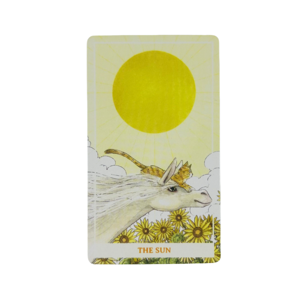 Sunny Orange Cat Tarot Cards A - مراجعة Party Games Best وسعره