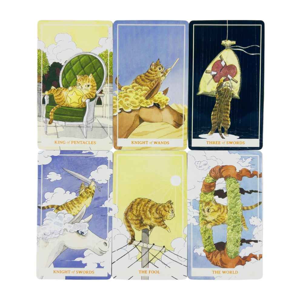 Sunny Orange Cat Tarot Cards A - مراجعة Party Games Best وسعره